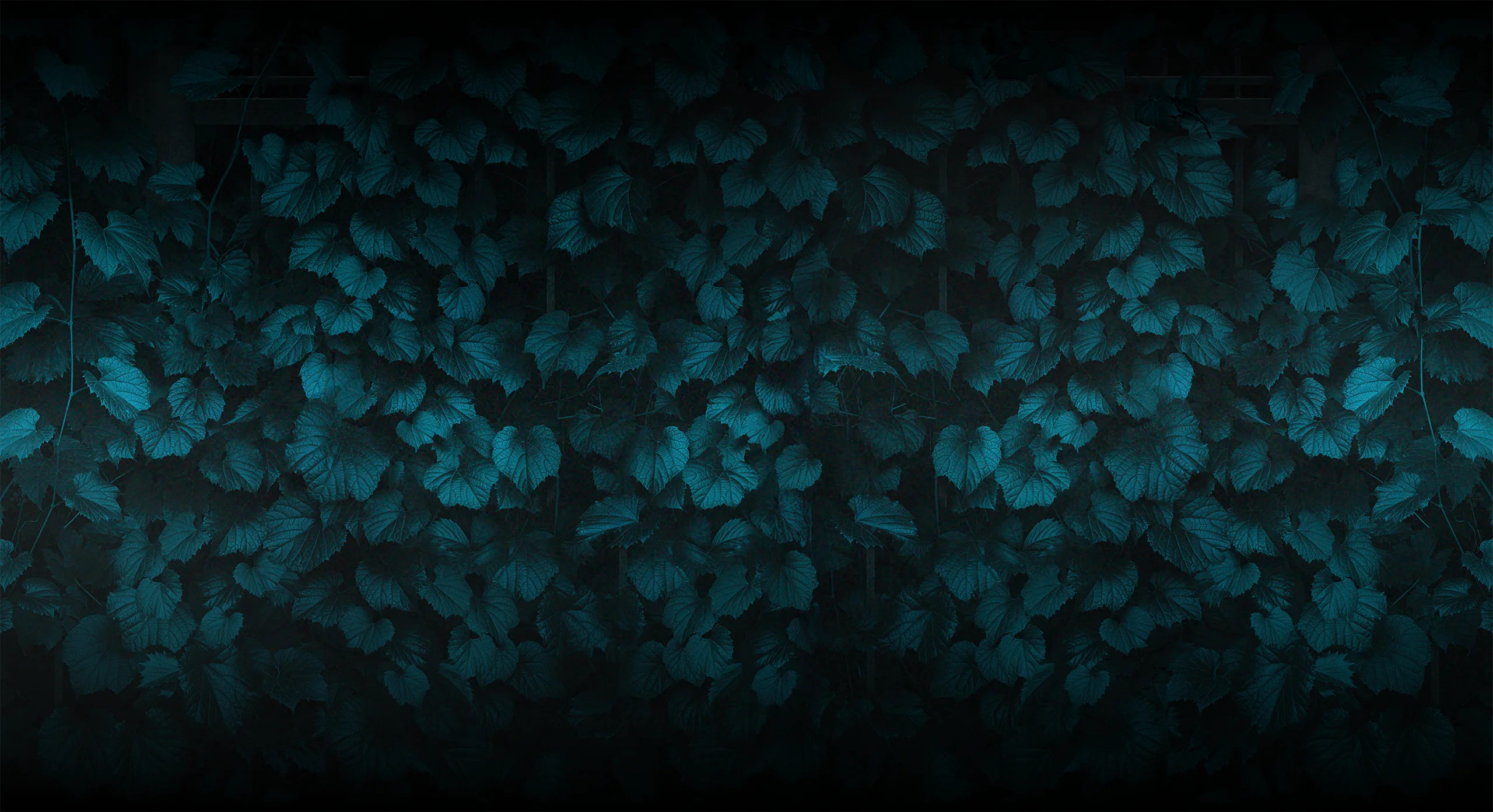 Der Nachbar - Düstere Hecke